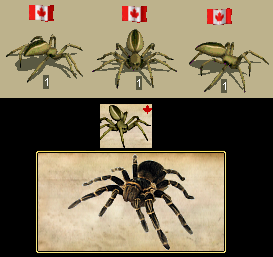 CAN-Tarantula.PNG