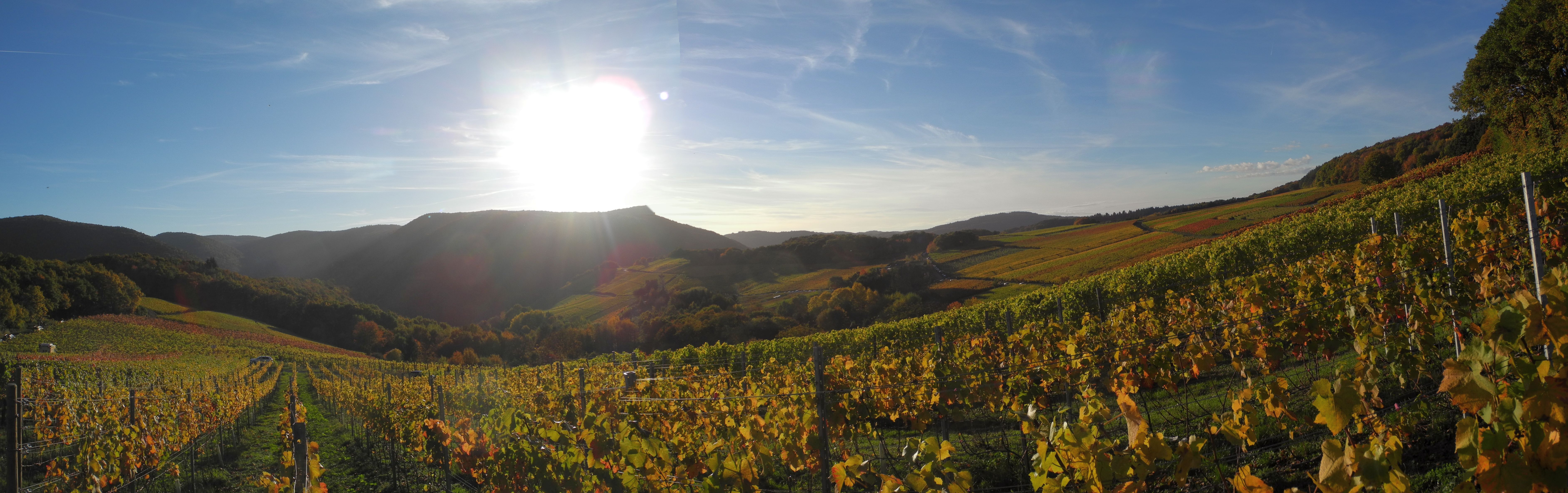 Panoramabild 2.jpg