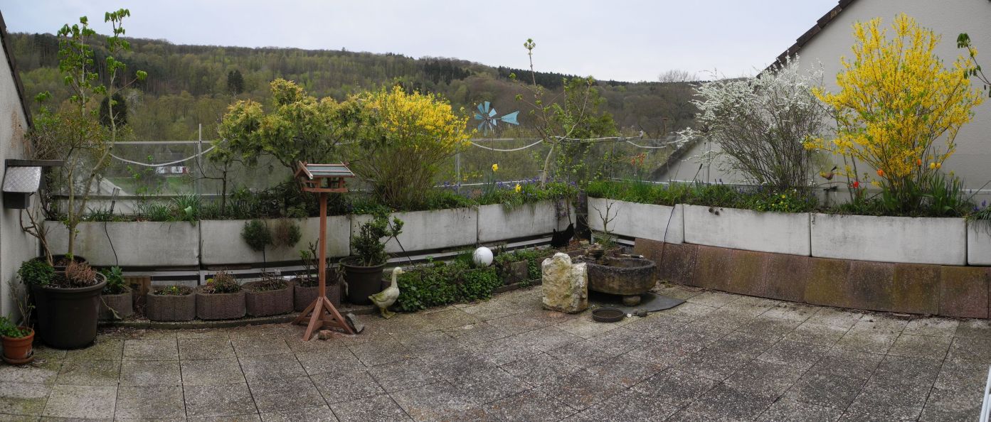 Terrasse heute.jpg