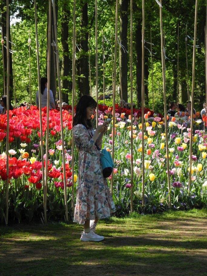 Keukenhof.jpg