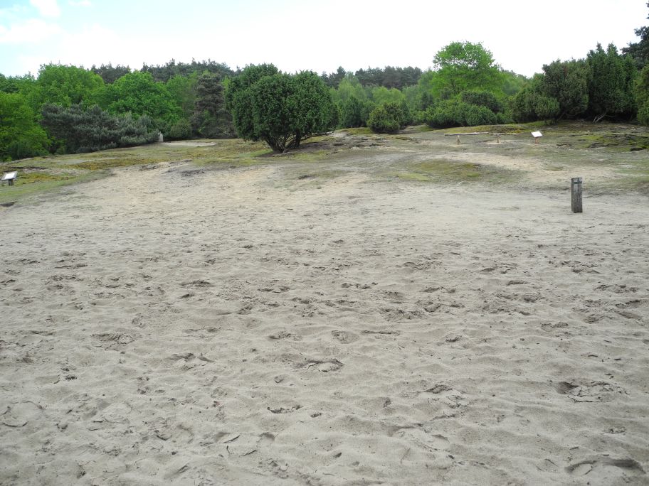 Haltern am See.jpg