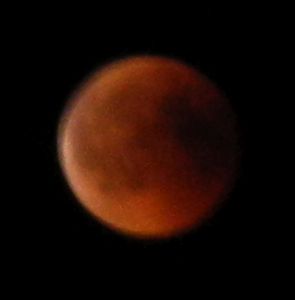 Leicht verwackelter Blutmond.JPG