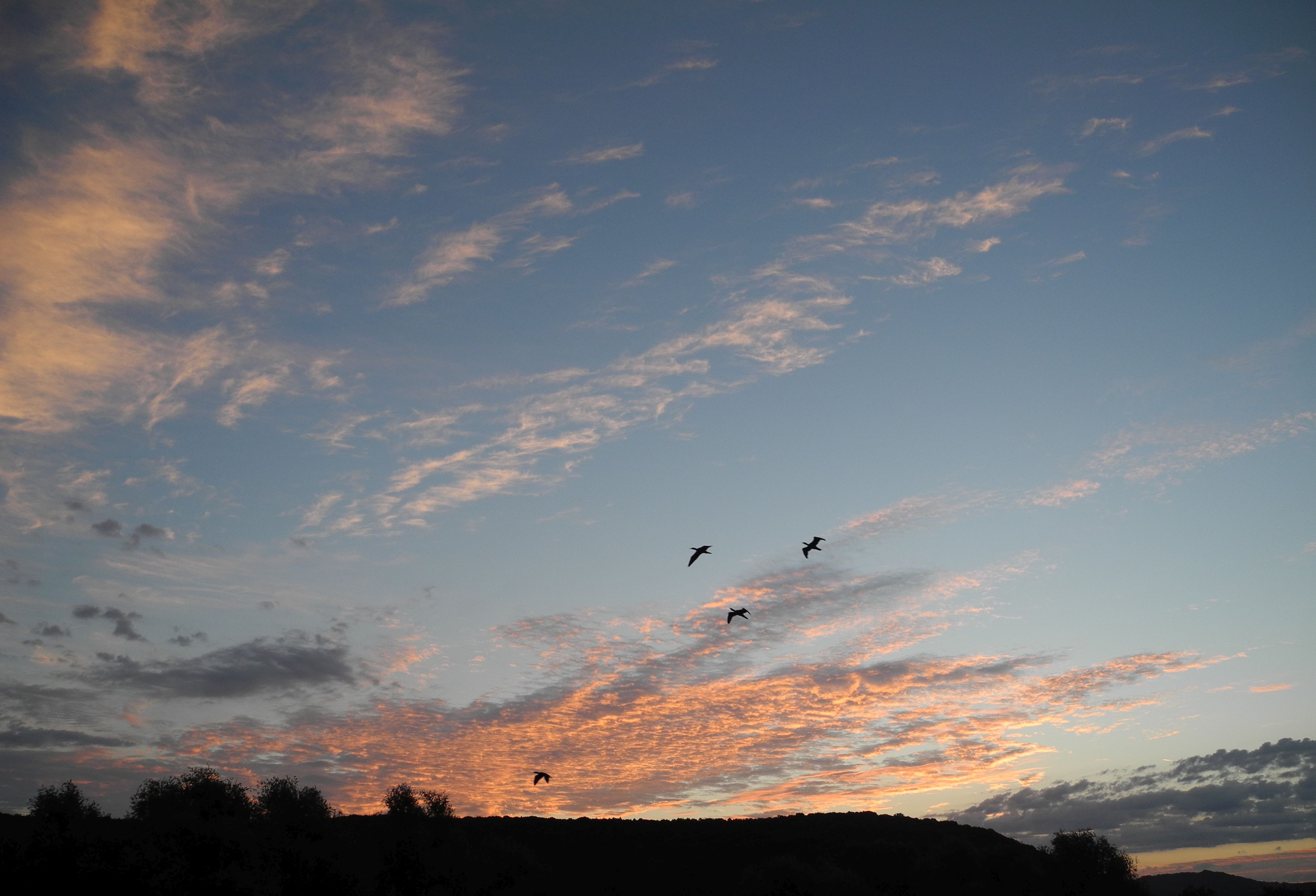 Sonnenaufgang.jpg