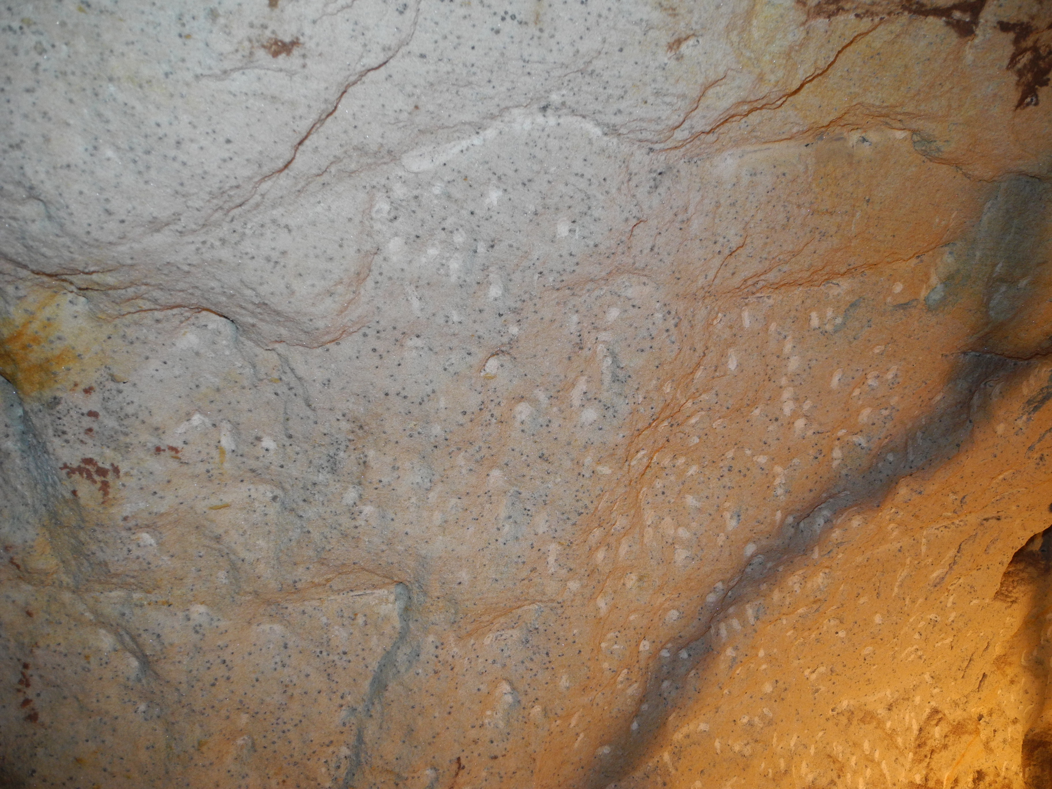 DSCN4477.JPG