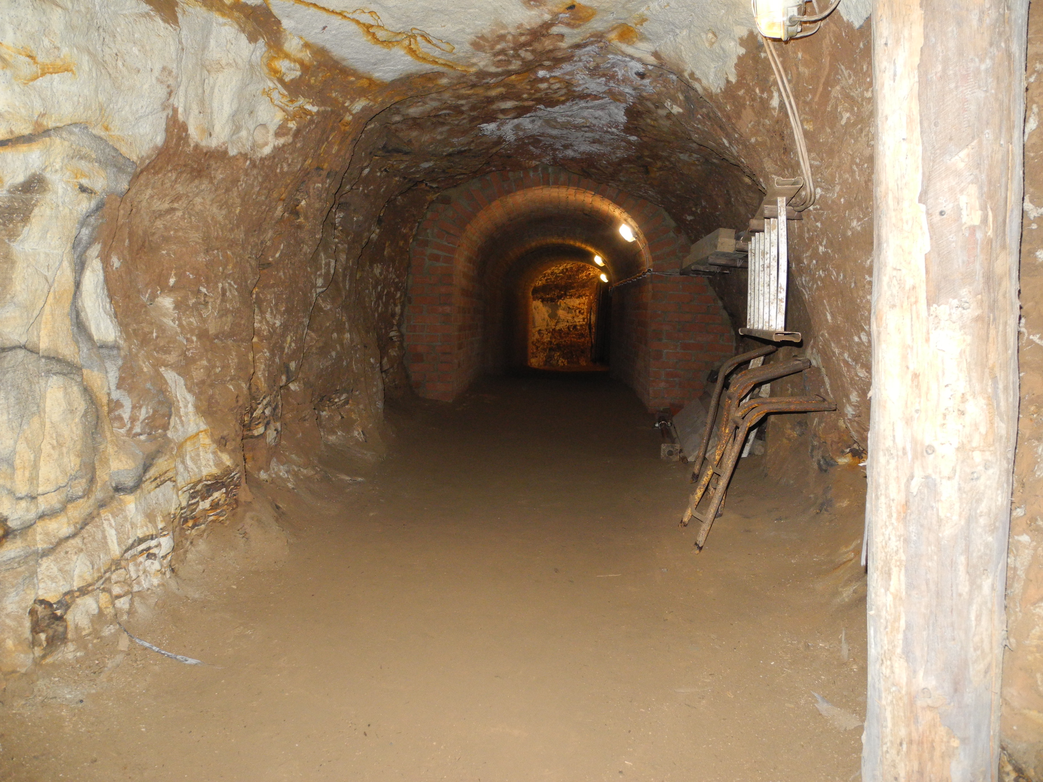 DSCN4479.JPG