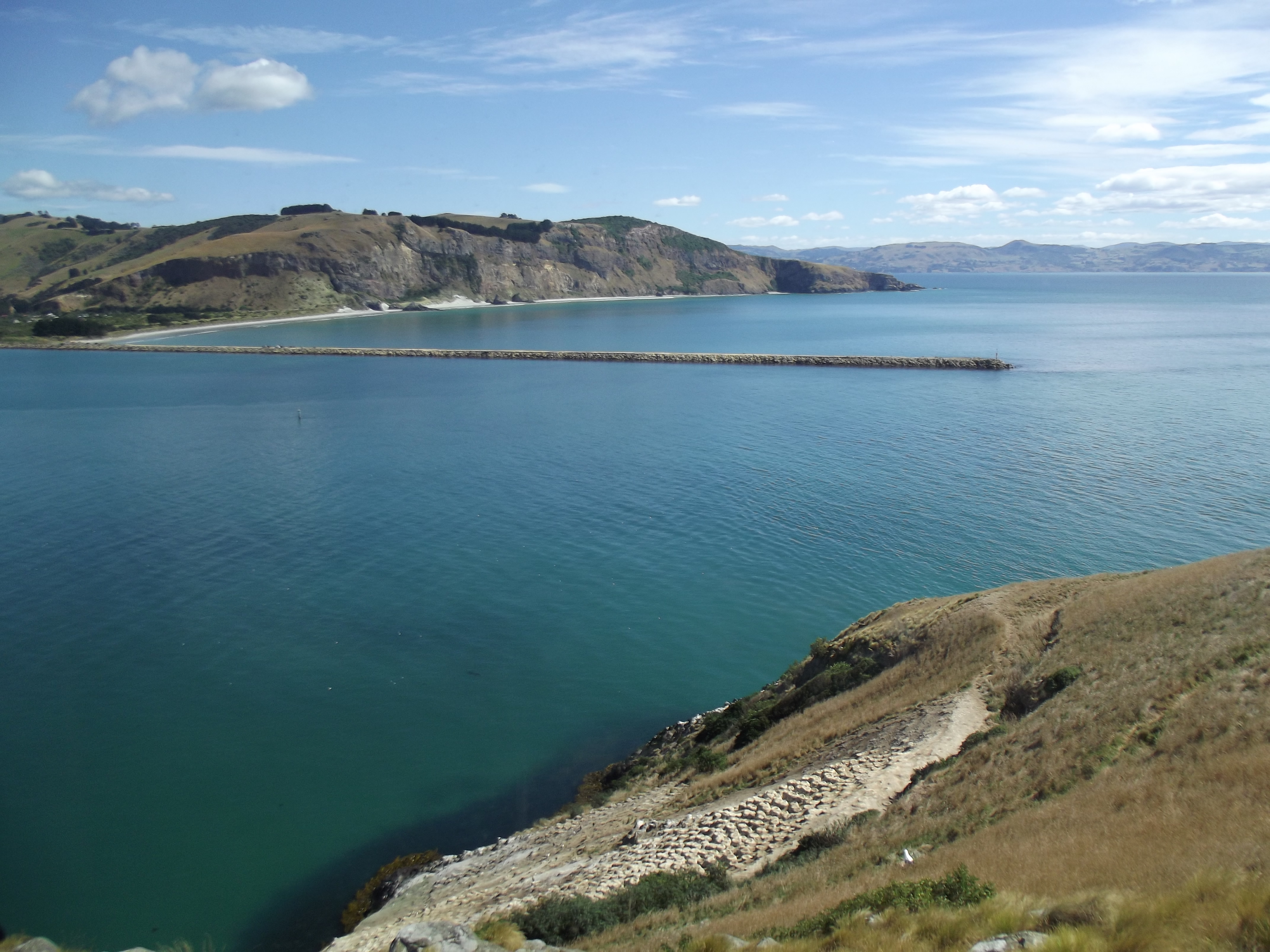 016-Otago Bay.jpg