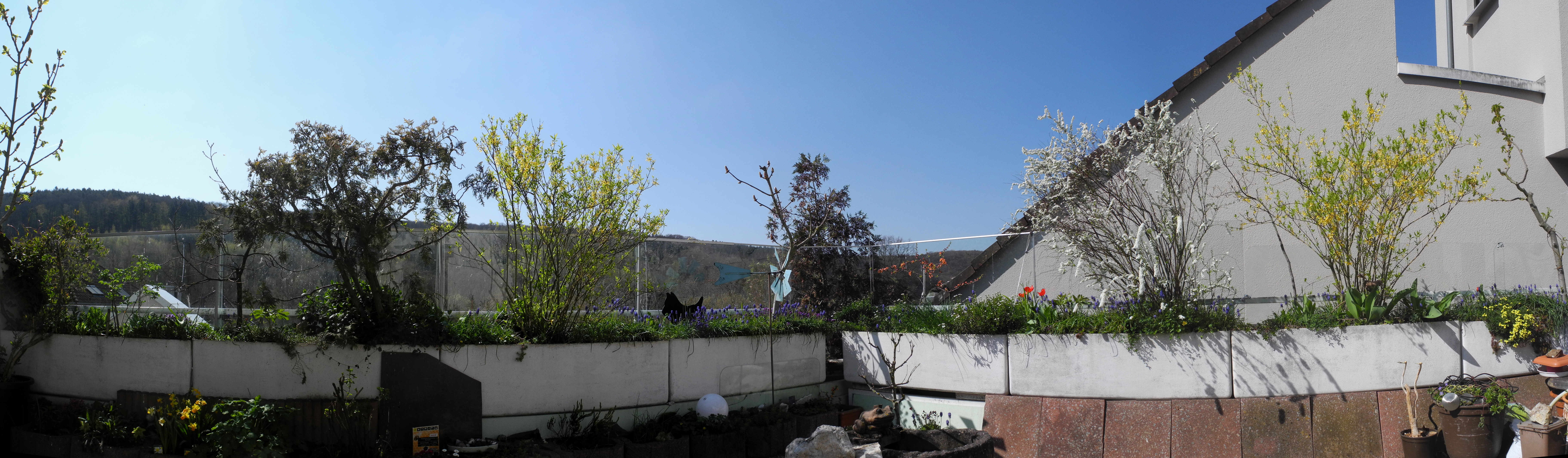 Terrasse.JPG