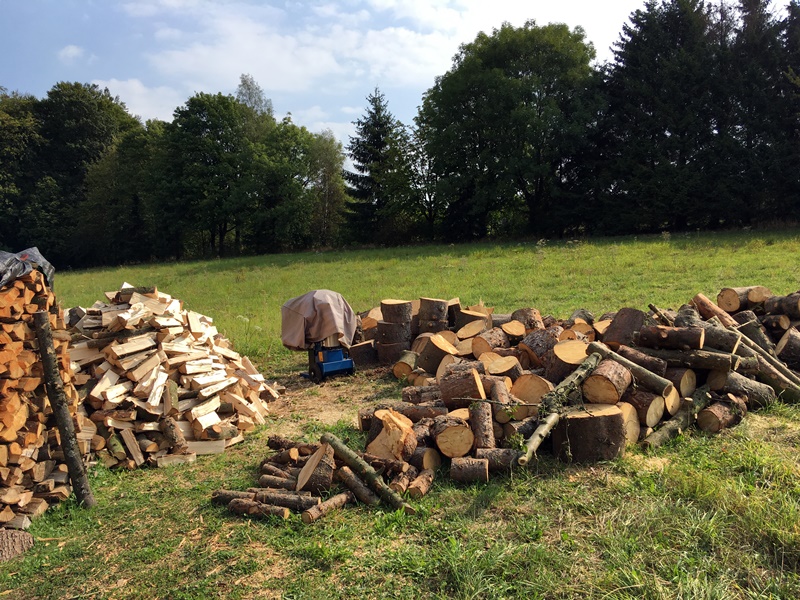 holz.jpg