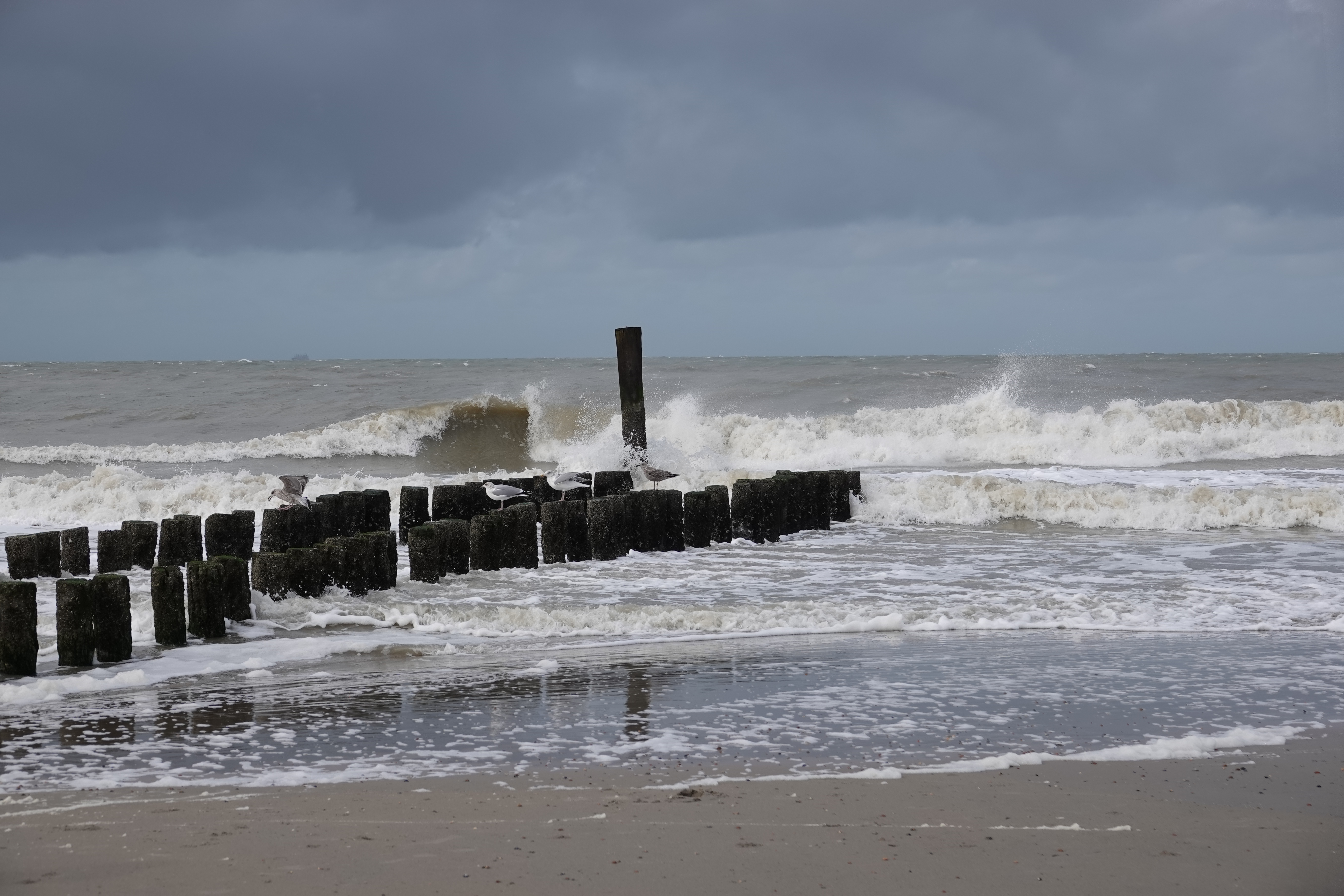 Domburg.JPG