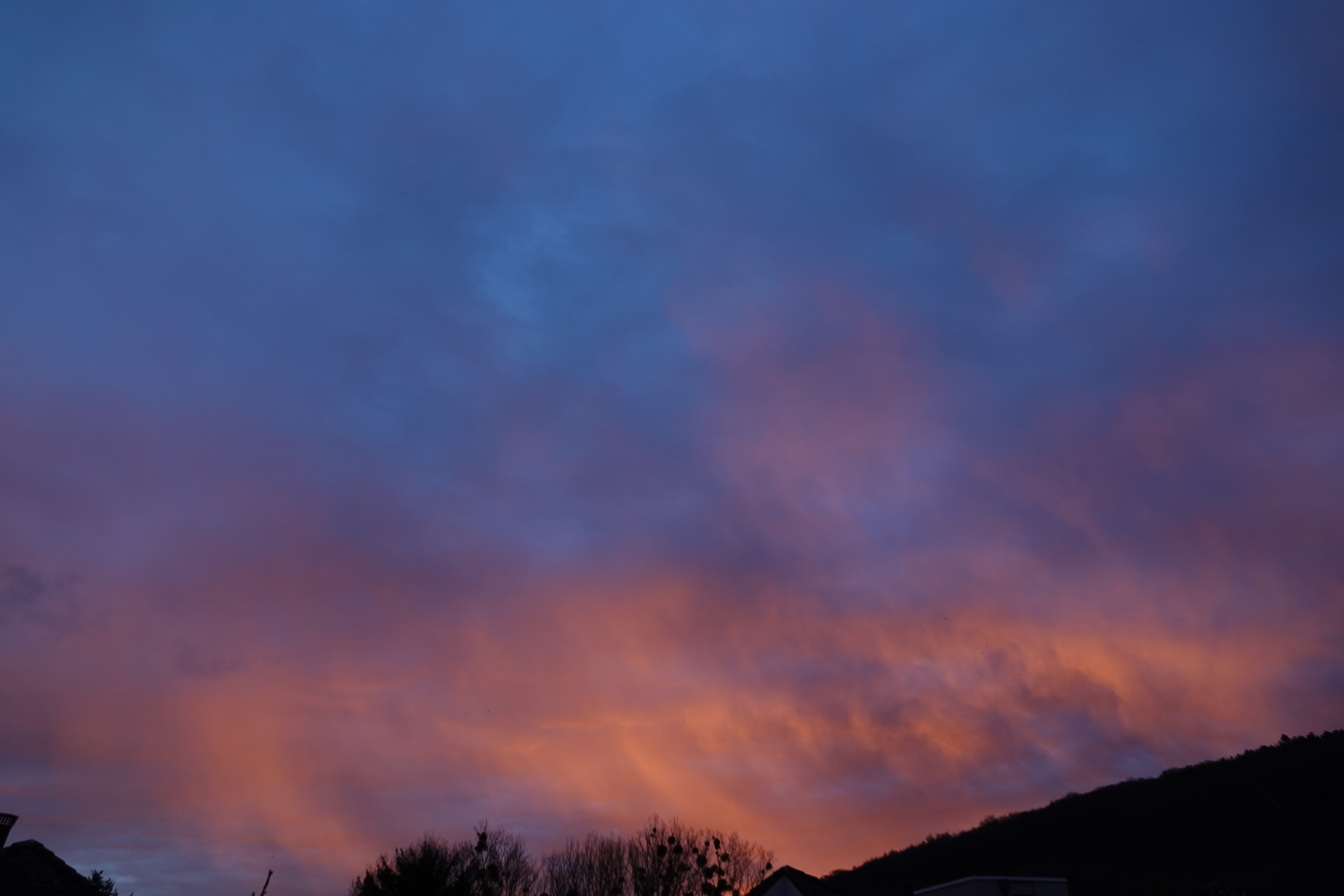 DSC03322.JPG