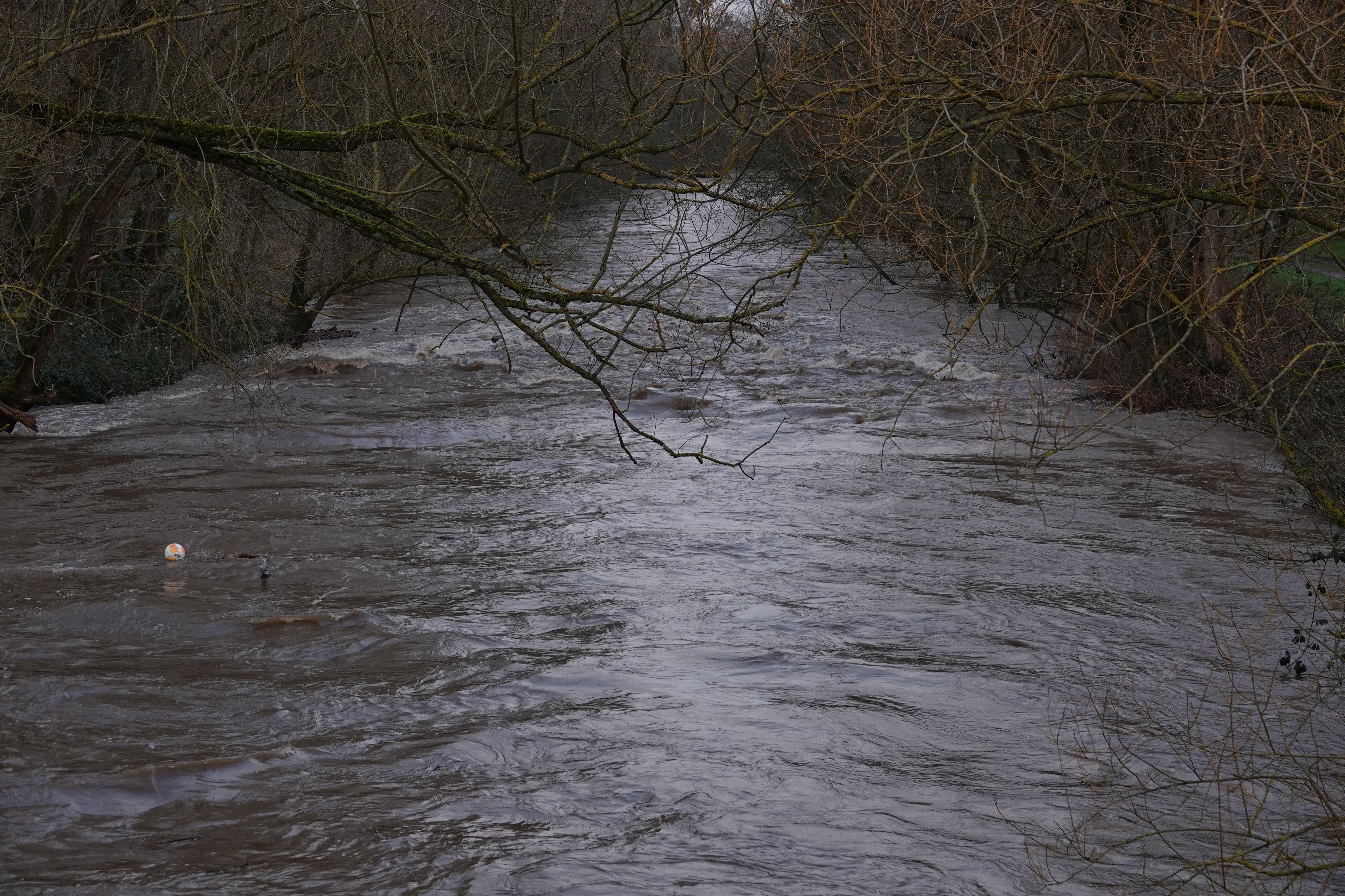 DSC03584r.jpg
