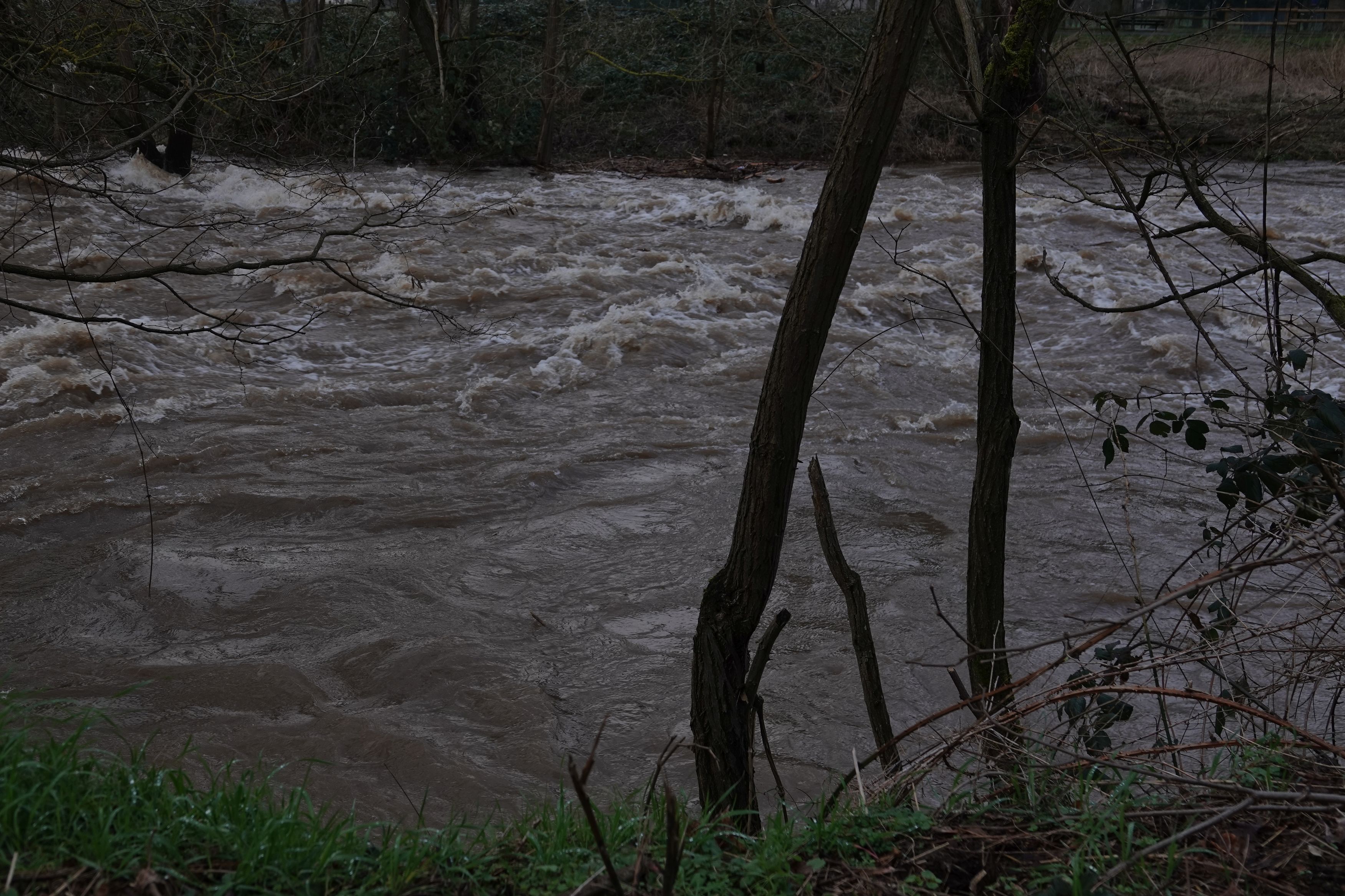DSC03586r.jpg