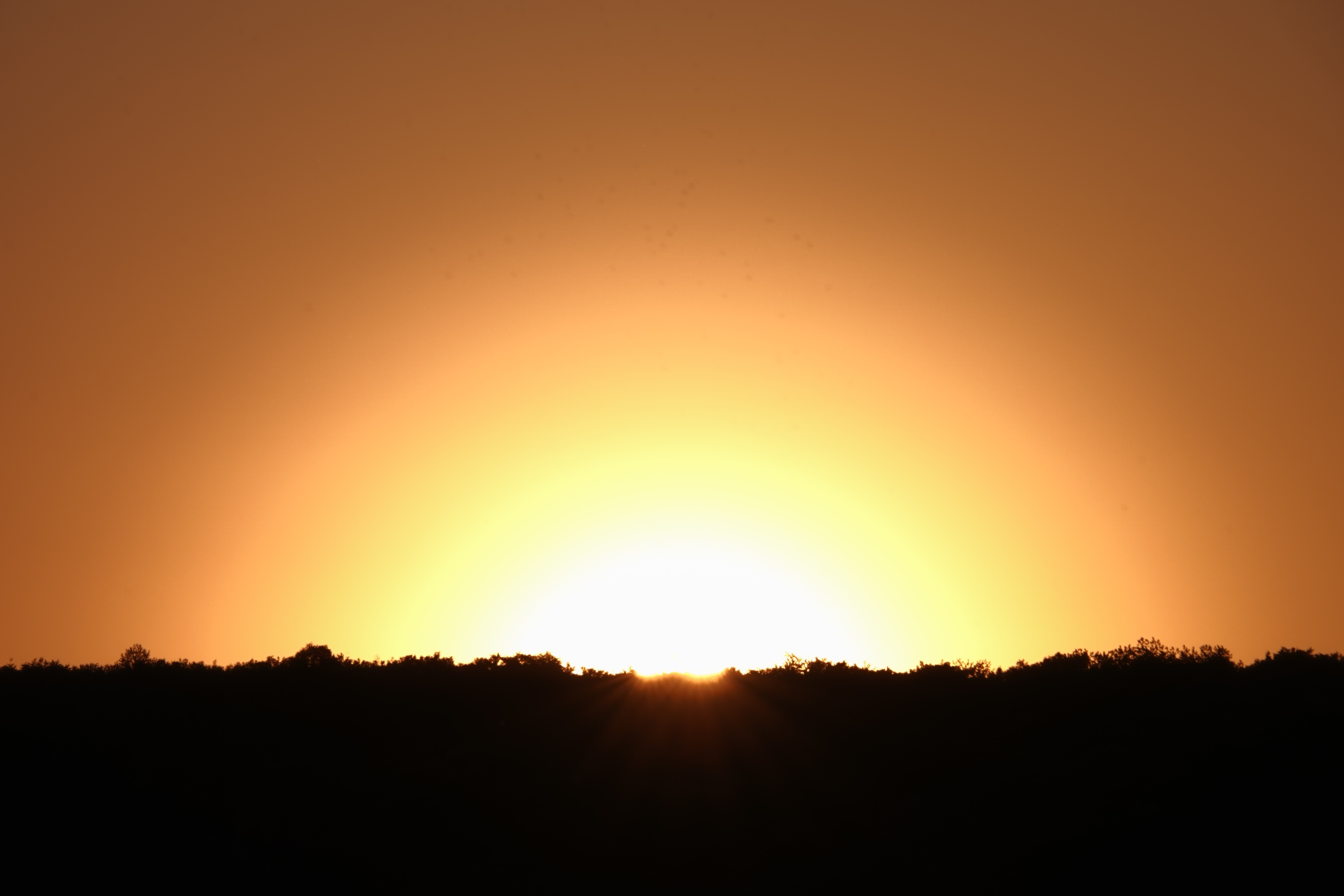 DSC04078.JPG