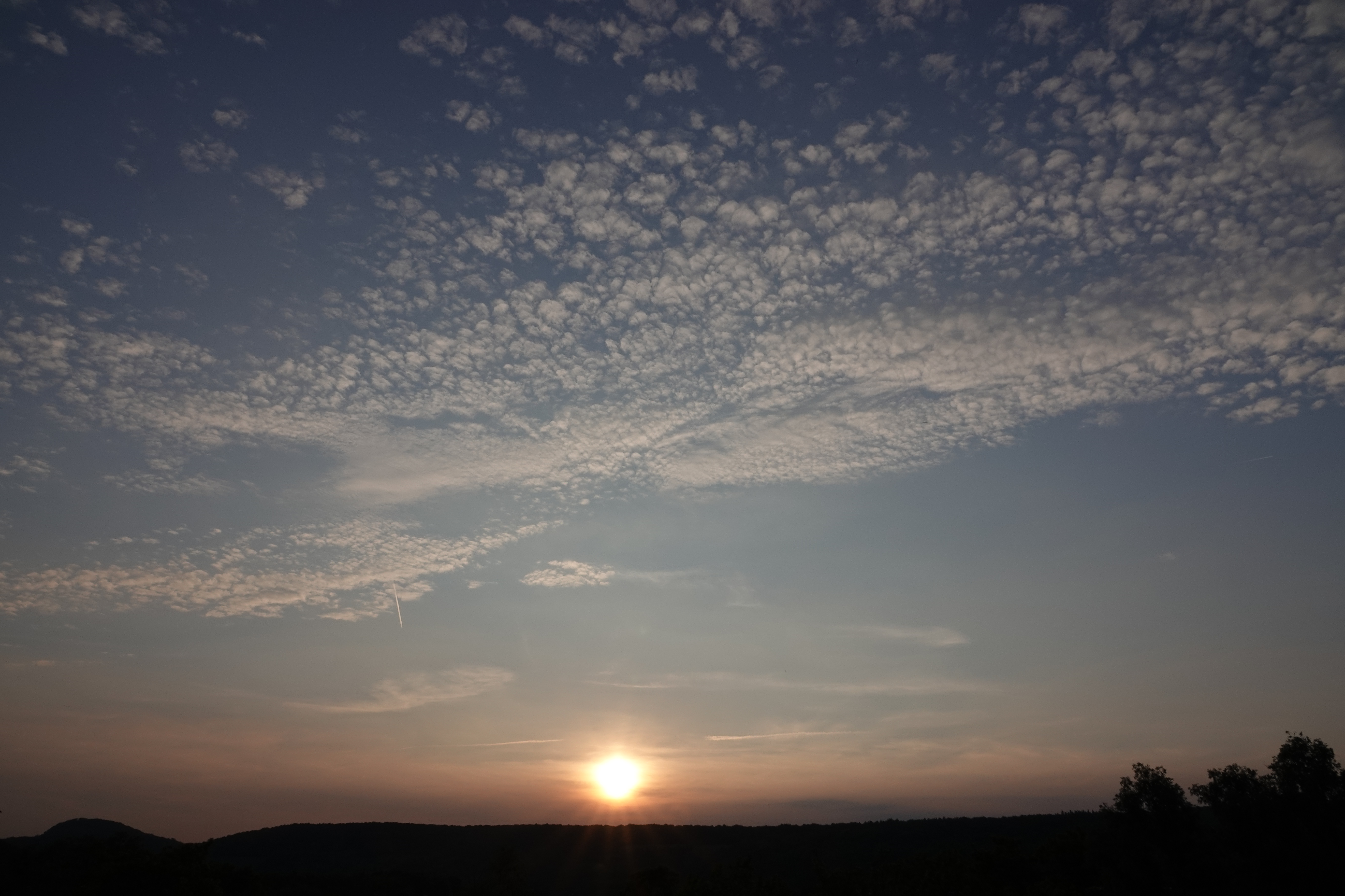 DSC05630.JPG