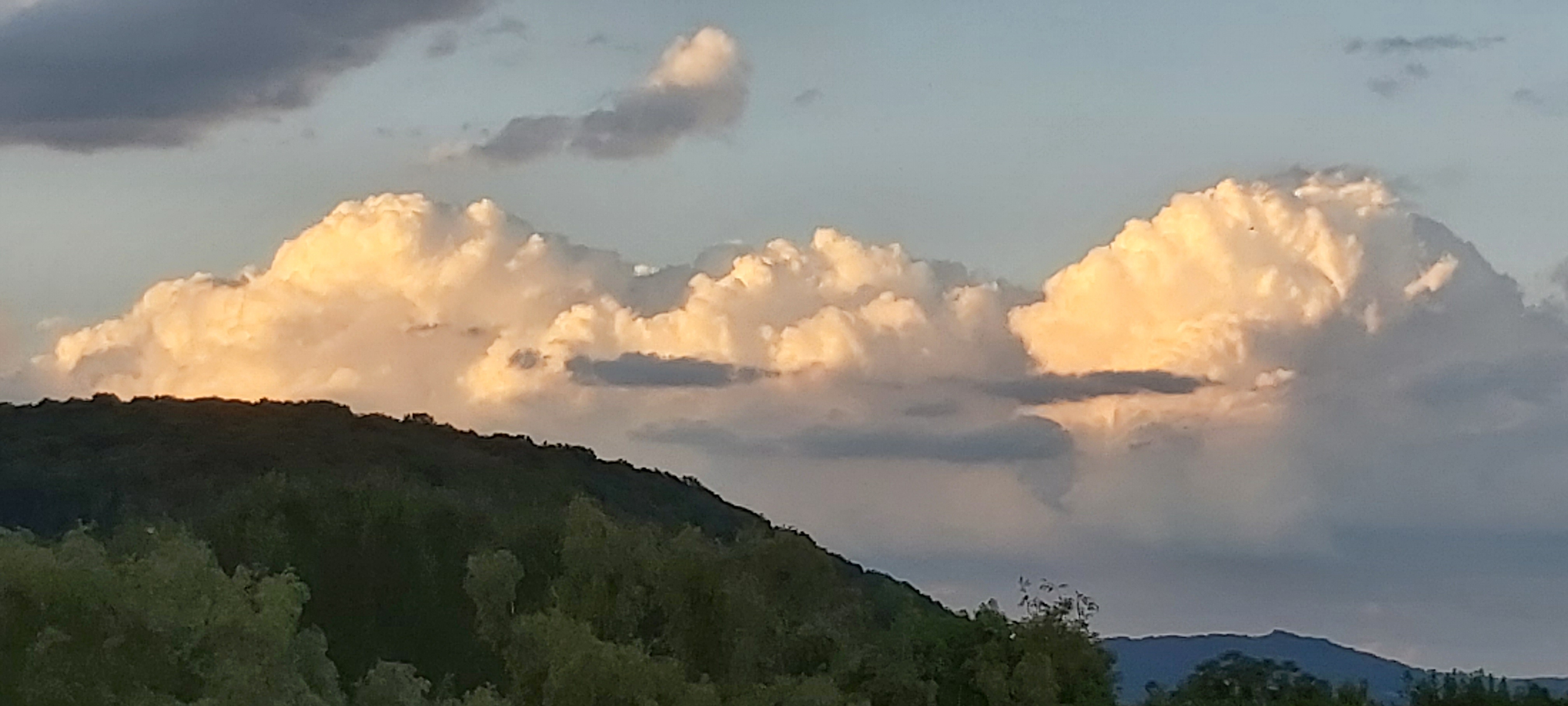 20220613_210512.jpg