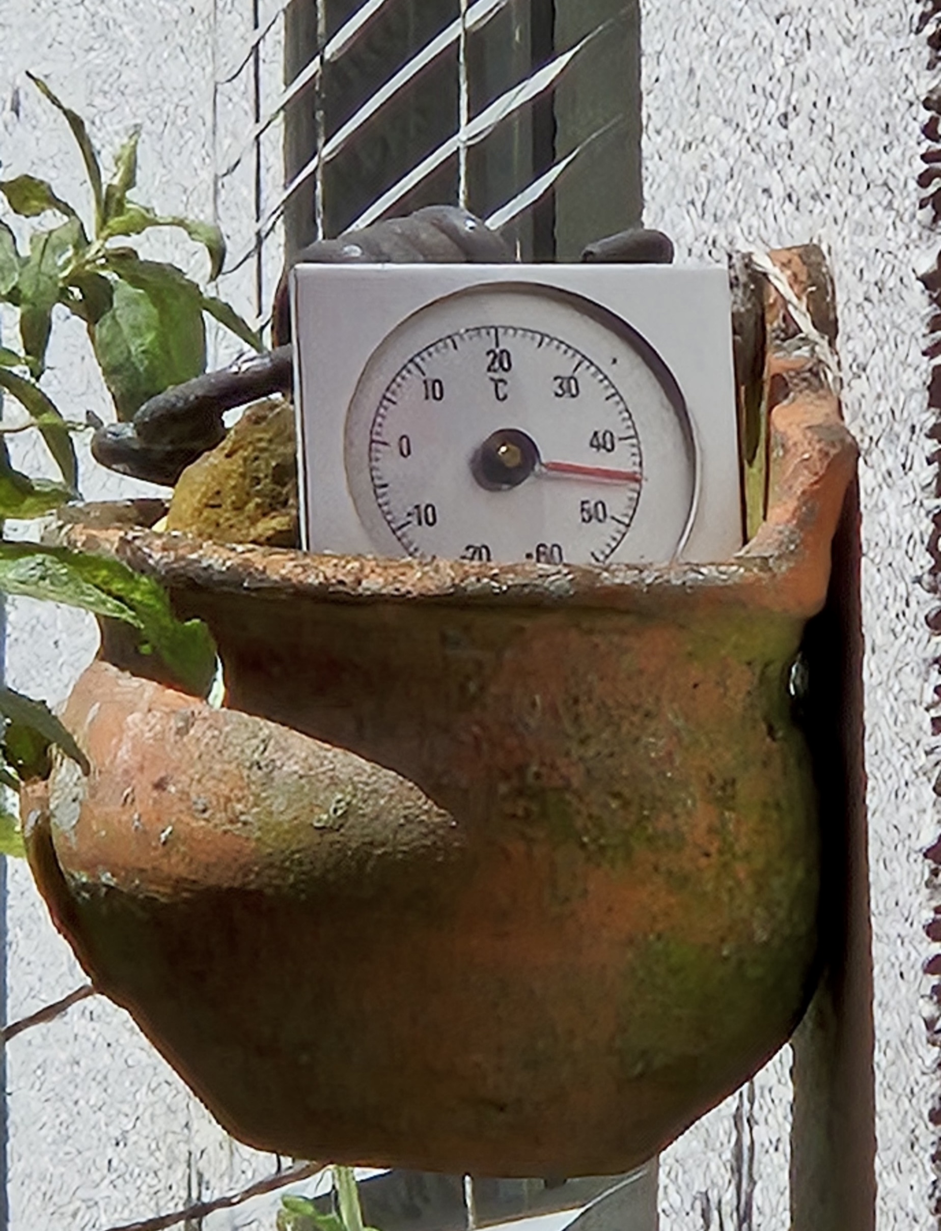 20250624_132023.jpg