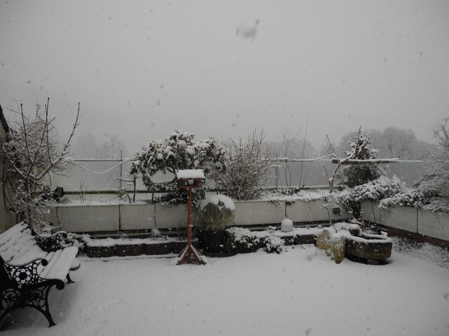 Schnee 24.01.15.jpg