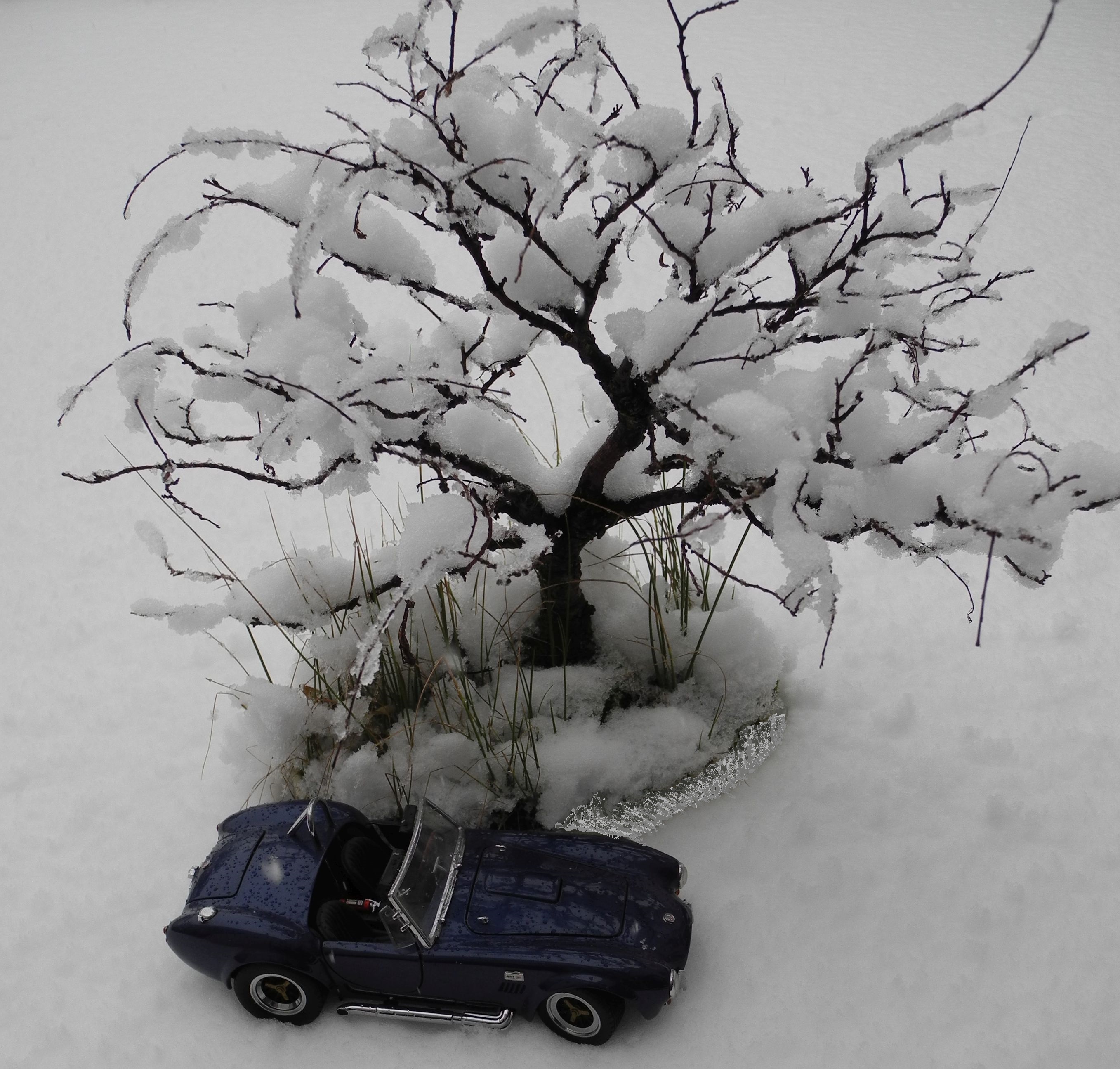 Schnee.jpg