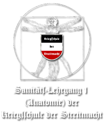 Titel Anatomie LG