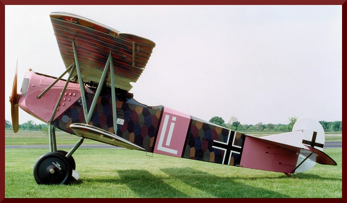 Fokker D. VII USAF