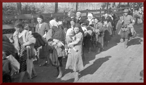 Bundesarchiv B 145 Bild-F016206-0003, Russland, Deportation von Juden