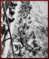 Unbenannt-10