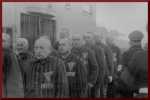 File-PrisonersKZSachsenhausen1938