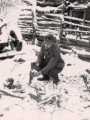 OstfrontNov1943 VB Wolchowfront bei Leningrad