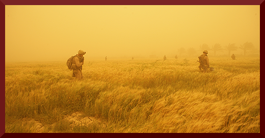 BibMarineCorpsCompany2008