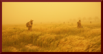 BibMarineCorpsCompany2008