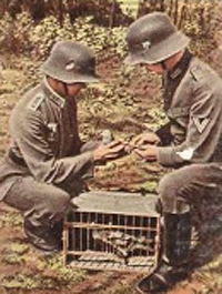 Bild 106 Abflugstelle an der Front