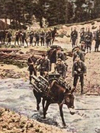 Bild 157 Tragetier mit Maschinengewehr
