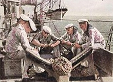 Bild 189 Kartoffel schälen