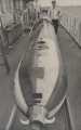 37 Torpedo Forenbildarchiv