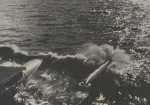 39 Torpedo Forenbildarchiv