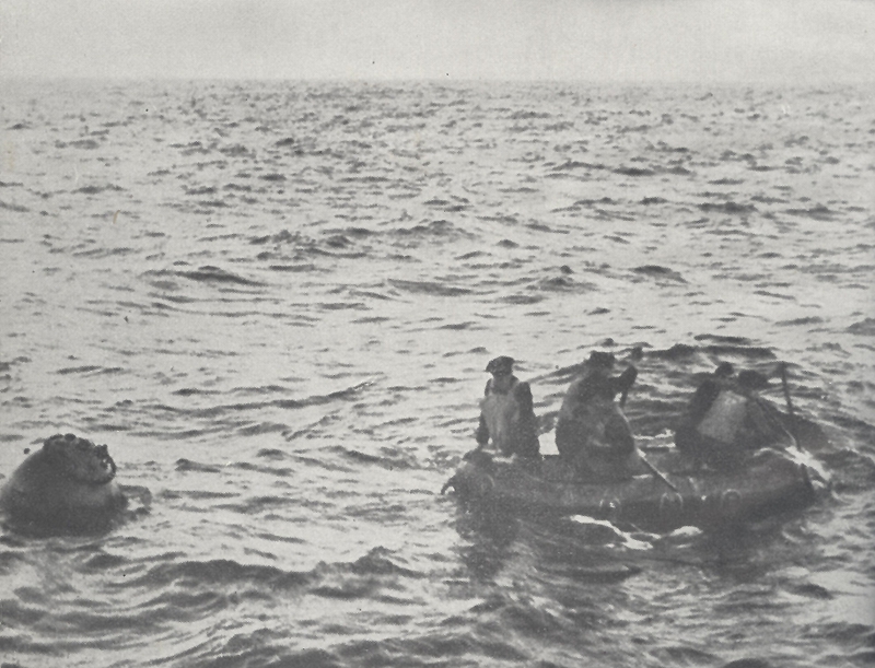 Minenbergung 001 forenbildarchiv