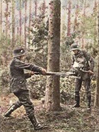 Bild 93 Kraftsäge
