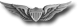 x Army Aviator Wing