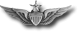 x Army Senior Aviator Wing