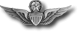 x Army Master Aviator Wing