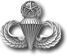 x Army Master Parachutist
