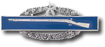 x Army Combat Infantry 2nd Avard