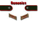 1-Kanonier