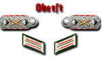 20-Oberst