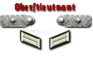 19-Oberstleutnant
