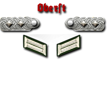 20-Oberst
