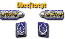 19-Oberstarzt