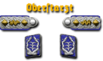 19-Oberstarzt
