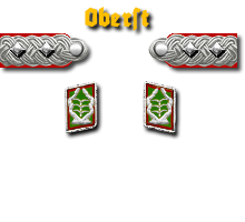 19-Oberst