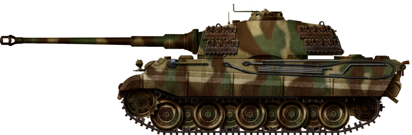 TigerII 501